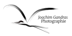Joachim Gandras Fotografie